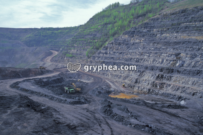 Extraction de la houille - gryphea.com